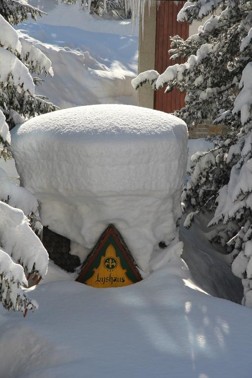 Hotel Lyshaus Gressoney-Saint-Jean Zewnętrze zdjęcie
