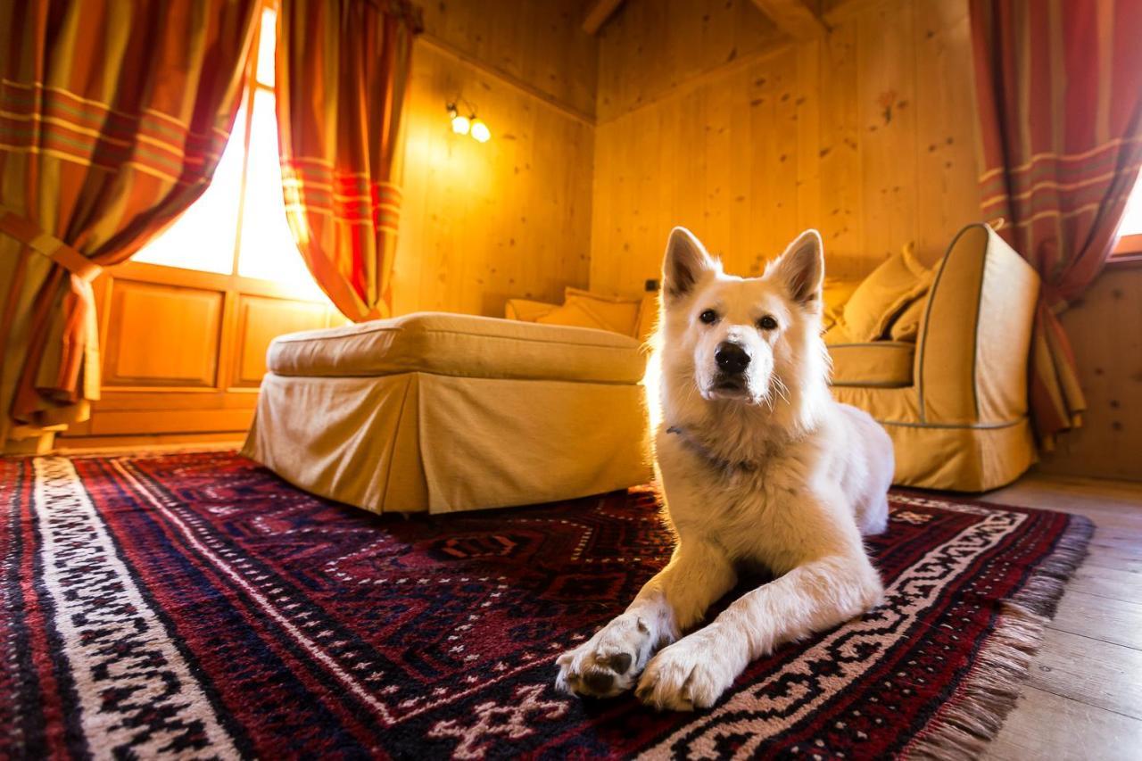Hotel Lyshaus Gressoney-Saint-Jean Zewnętrze zdjęcie